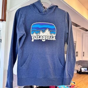 Patagonia blue hoodie size small India hand warmer